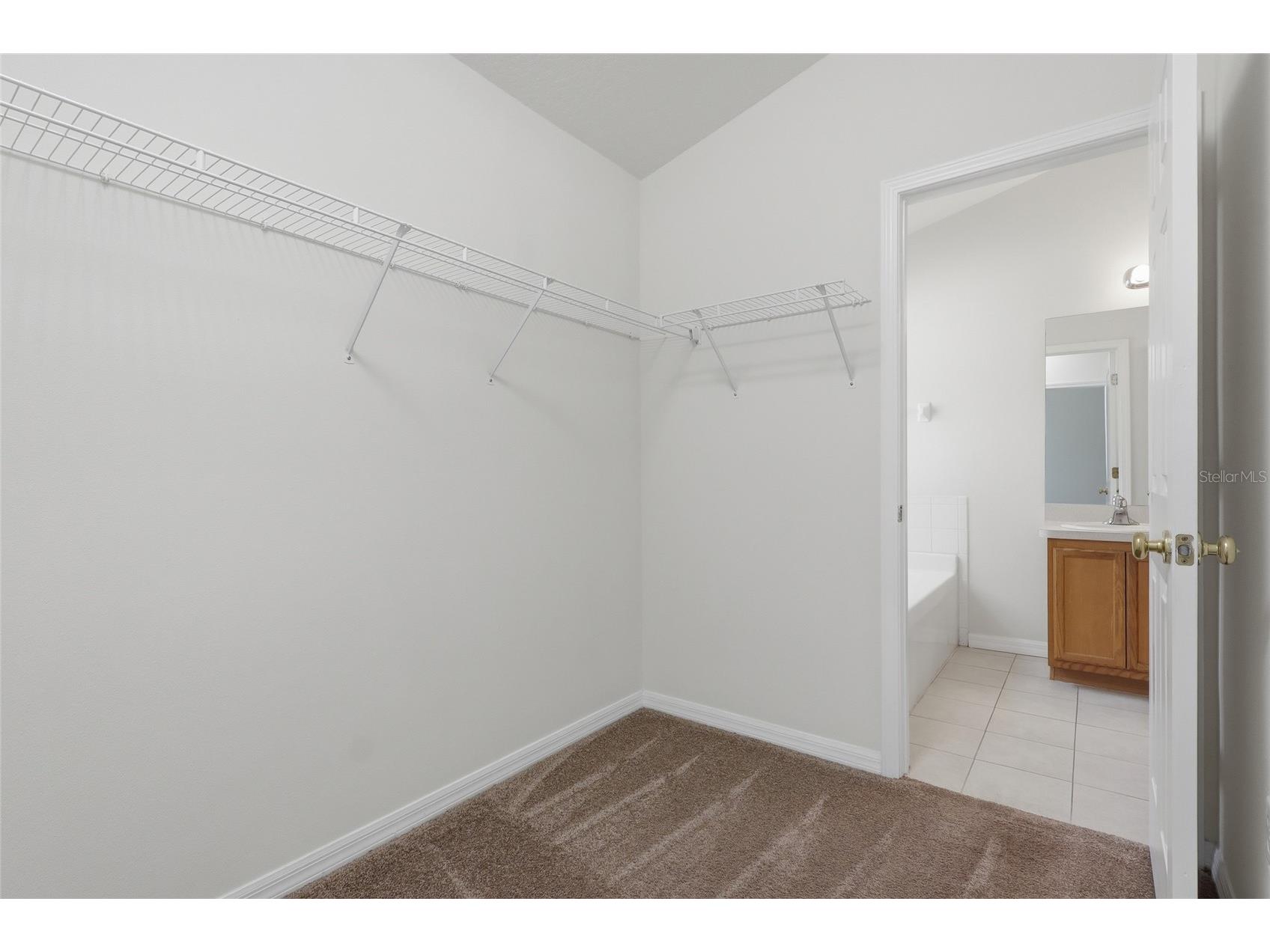 3006 Amber Oak Drive Valrico FL 33594 TB8531898 image23