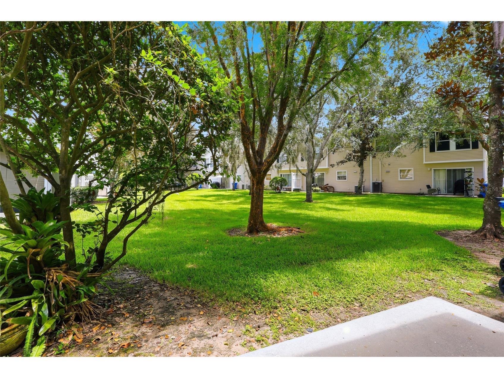 3006 Amber Oak Drive Valrico FL 33594 TB8531898 image26