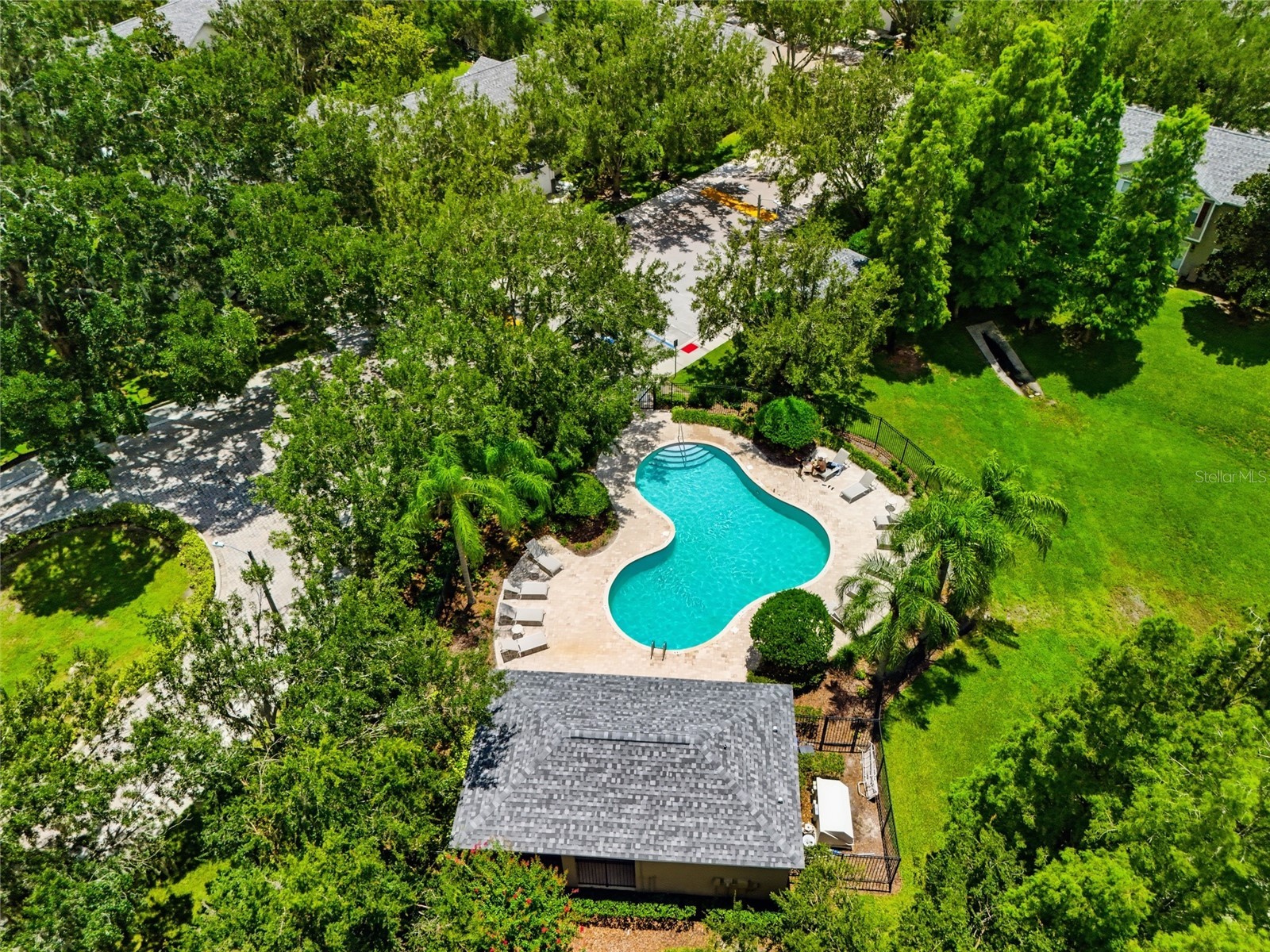 3006 Amber Oak Drive Valrico FL 33594 TB8531898 image28