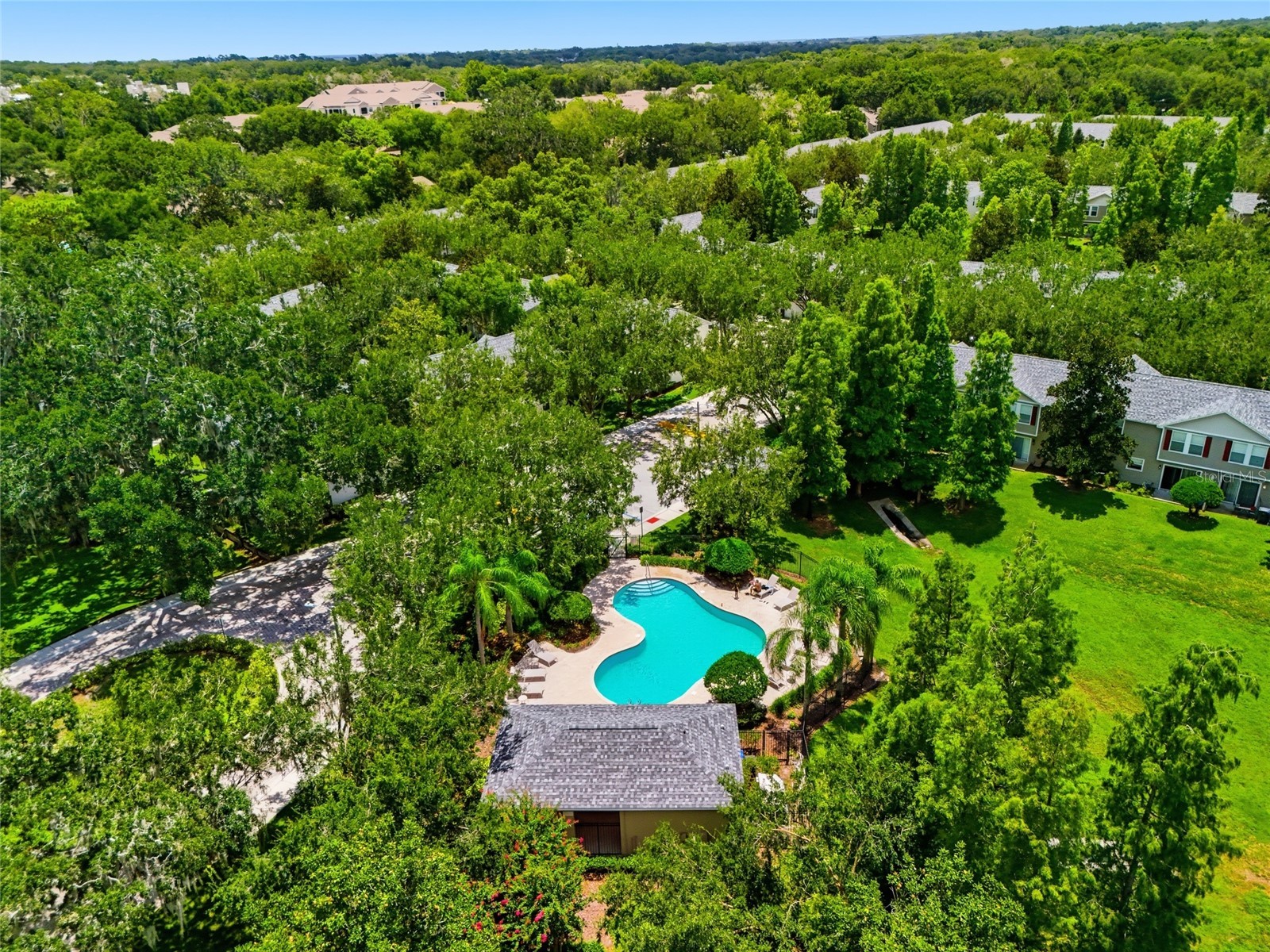 3006 Amber Oak Drive Valrico FL 33594 TB8531898 image29