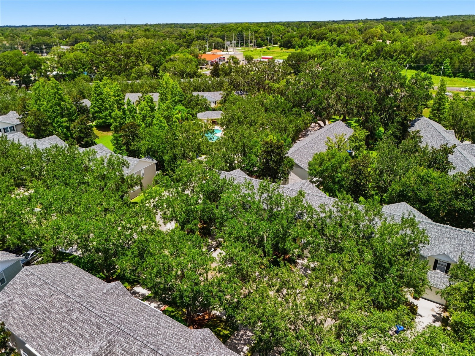 3006 Amber Oak Drive Valrico FL 33594 TB8531898 image31