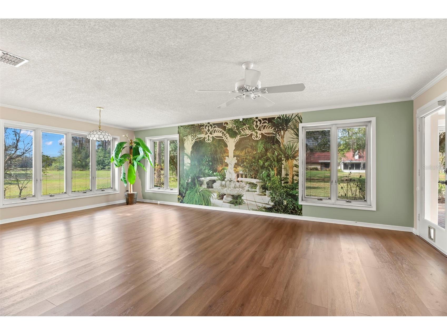 3006 Bolt Drive Palm Harbor FL 34685 TB8456648 image13