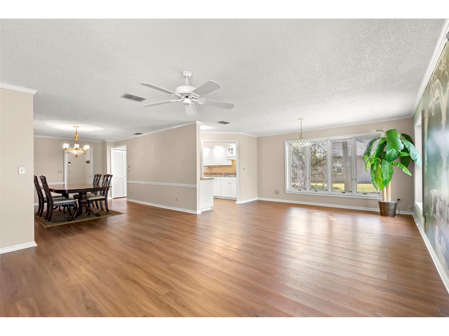 3006 Bolt Drive Palm Harbor FL 34685 TB8456648 image15