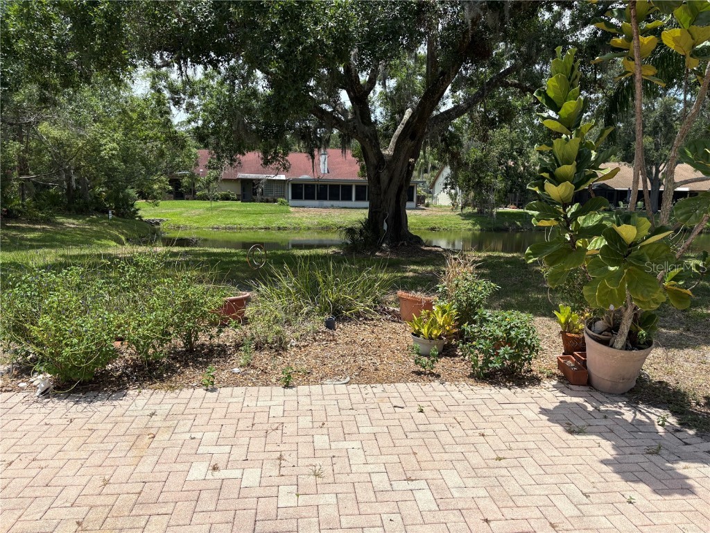 3006 Bolt Drive Palm Harbor FL 34685 TB8456648 image2