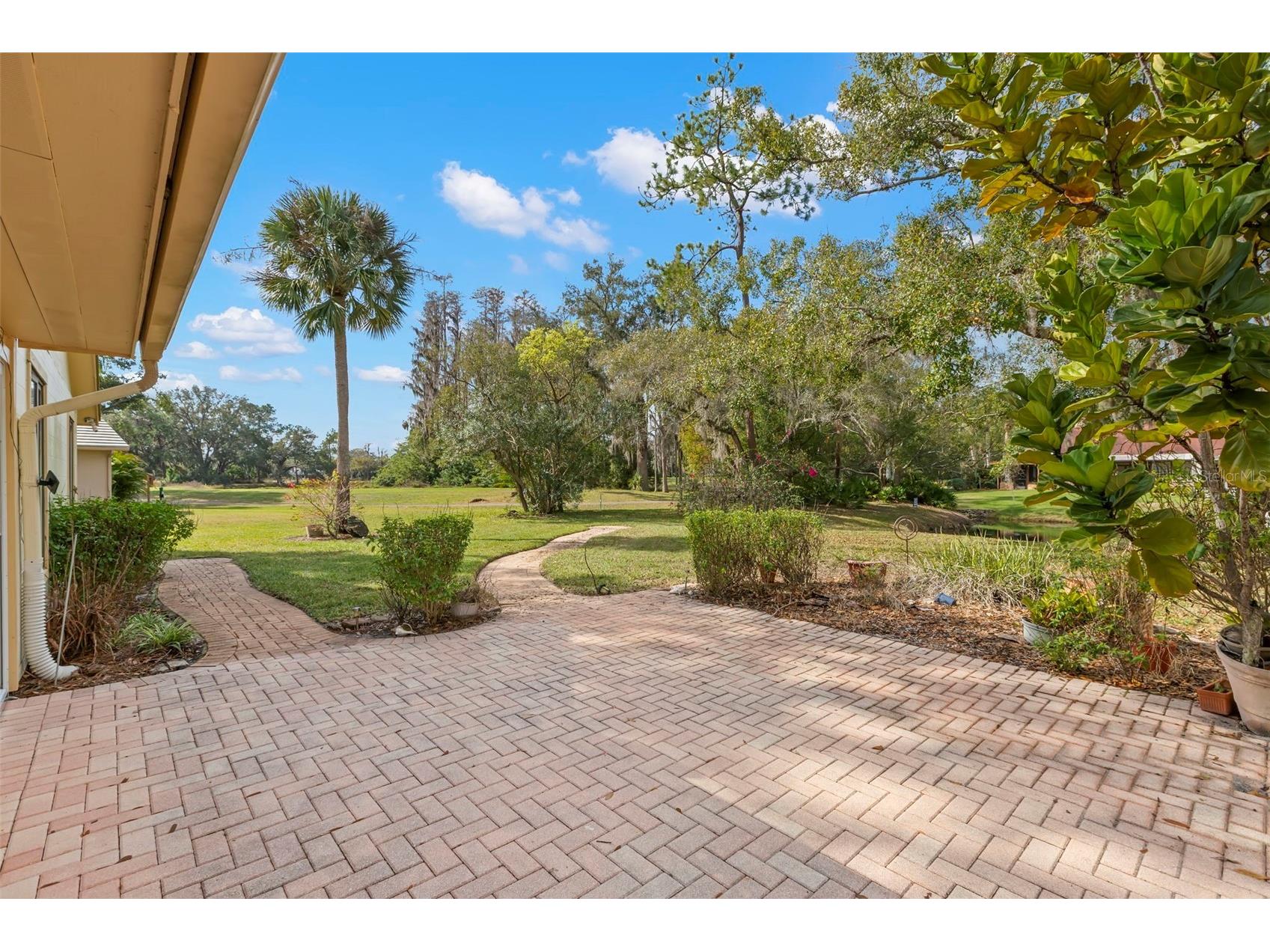3006 Bolt Drive Palm Harbor FL 34685 TB8456648 image22