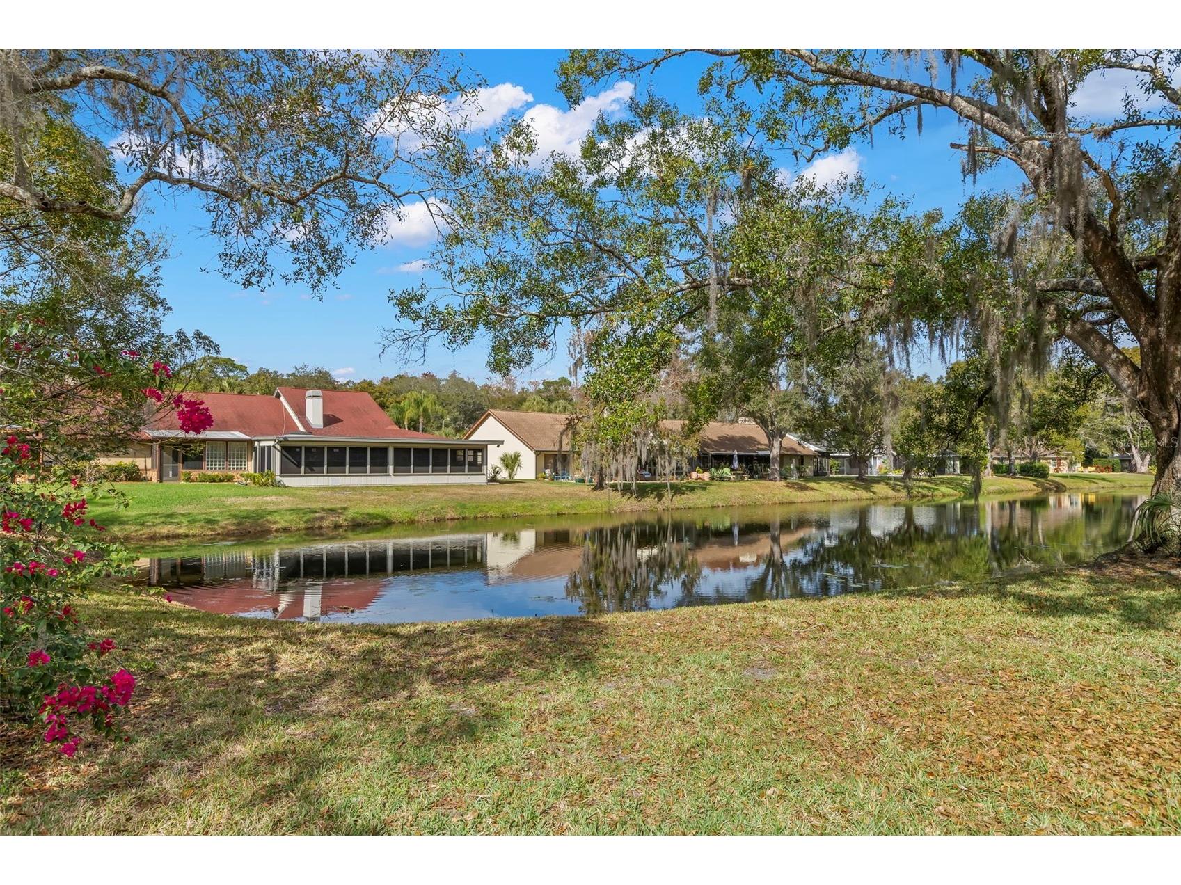 3006 Bolt Drive Palm Harbor FL 34685 TB8456648 image23