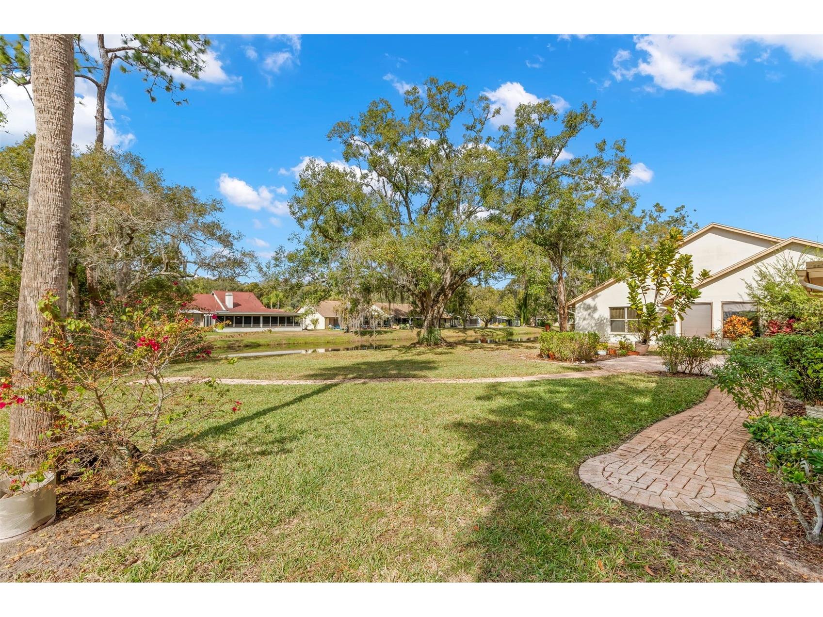 3006 Bolt Drive Palm Harbor FL 34685 TB8456648 image25