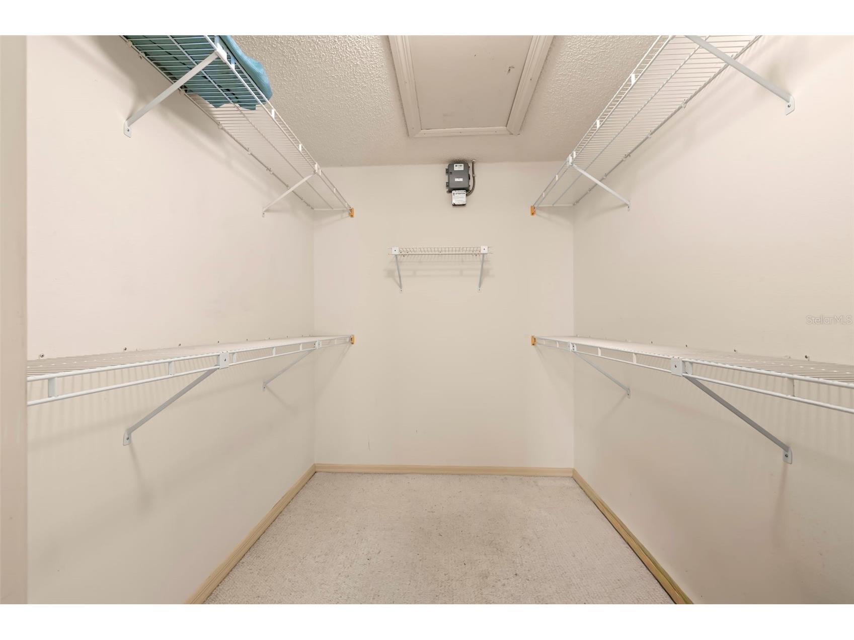 3006 Bolt Drive Palm Harbor FL 34685 TB8456648 image30