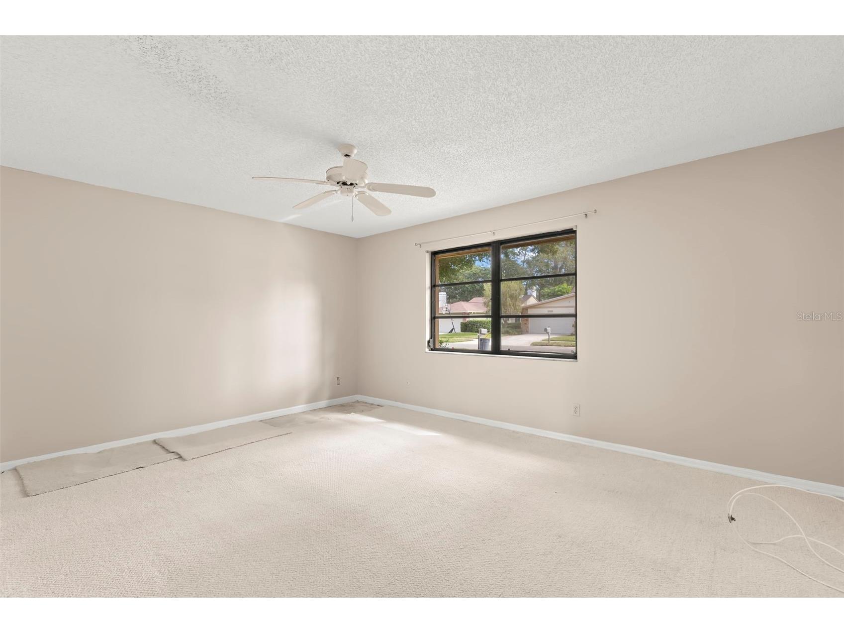 3006 Bolt Drive Palm Harbor FL 34685 TB8456648 image32