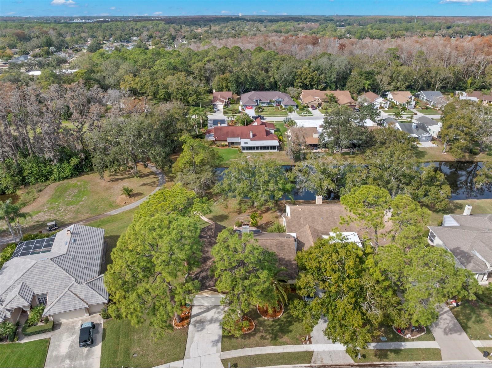 3006 Bolt Drive Palm Harbor FL 34685 TB8456648 image39