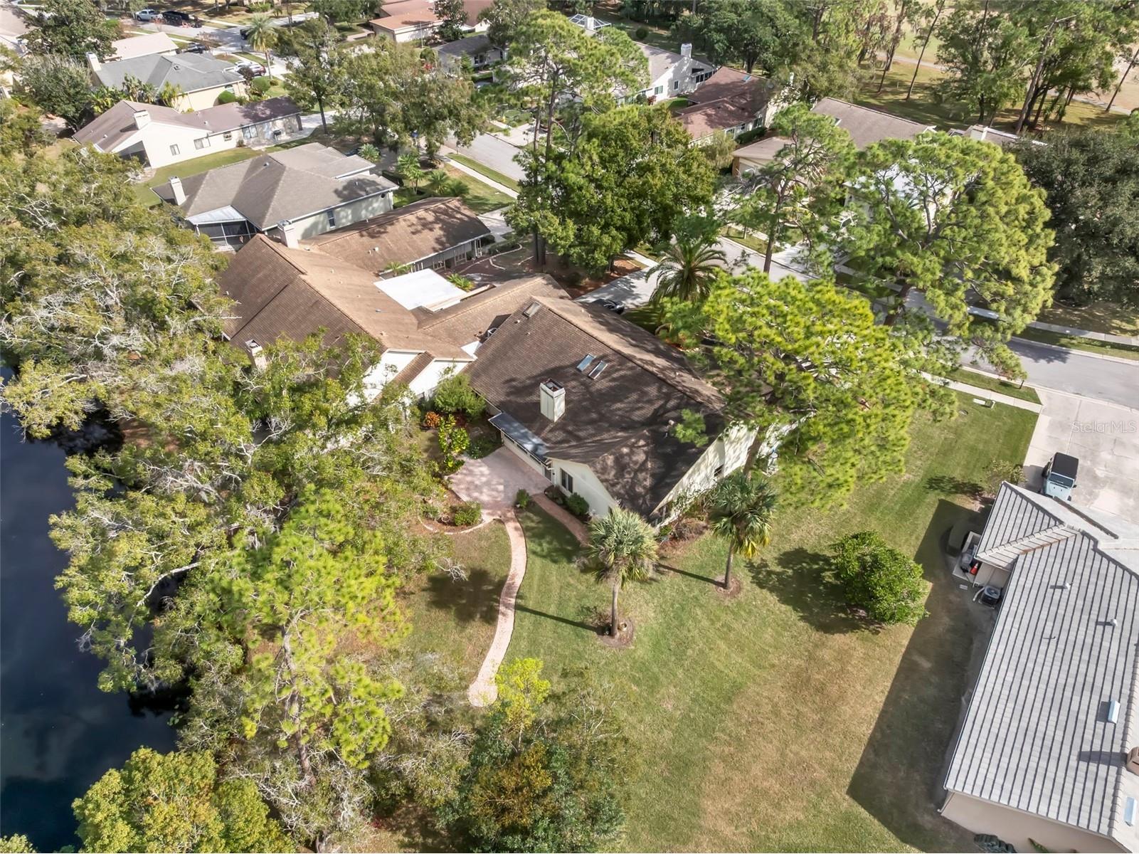 3006 Bolt Drive Palm Harbor FL 34685 TB8456648 image43