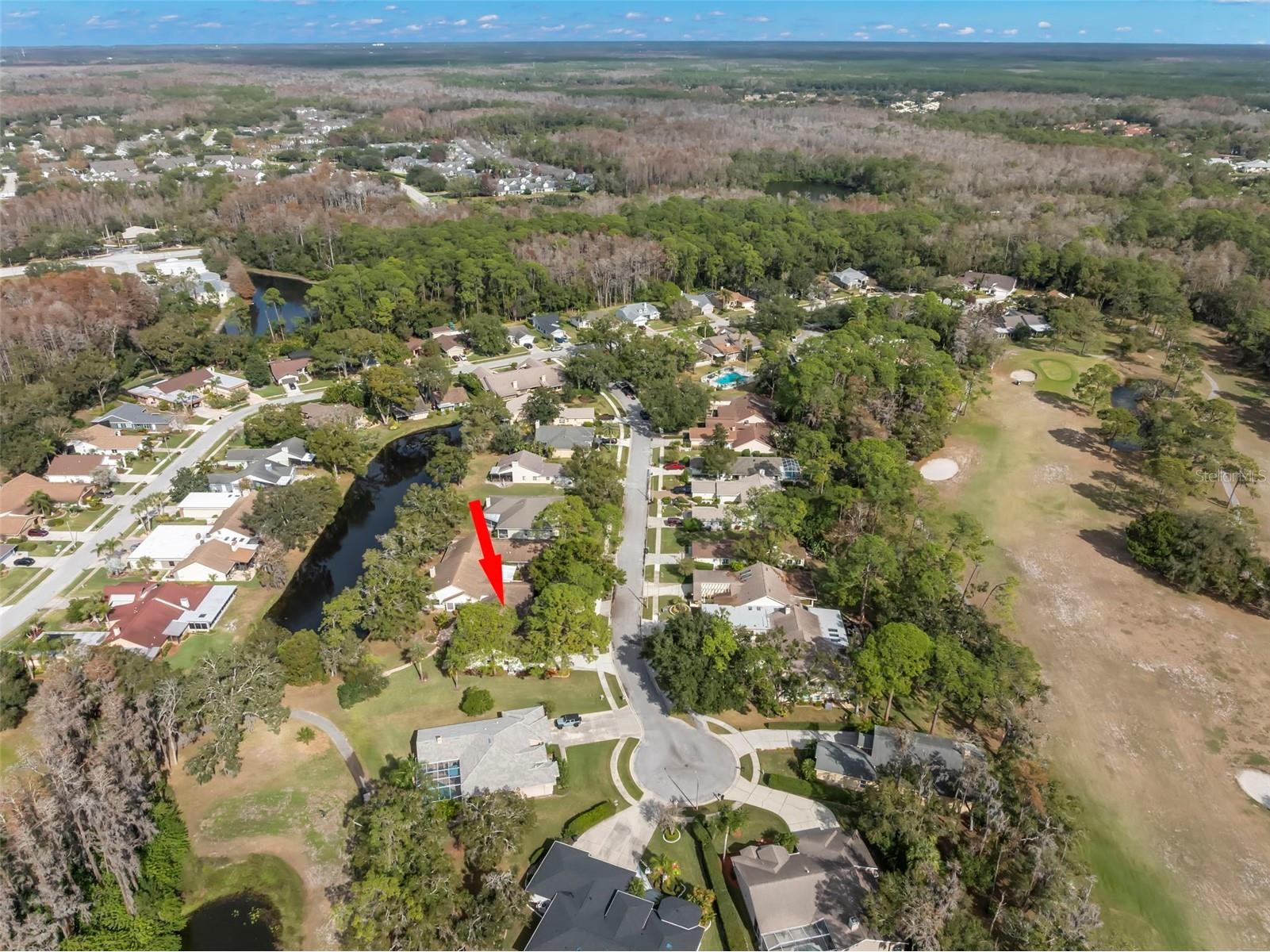 3006 Bolt Drive Palm Harbor FL 34685 TB8456648 image44