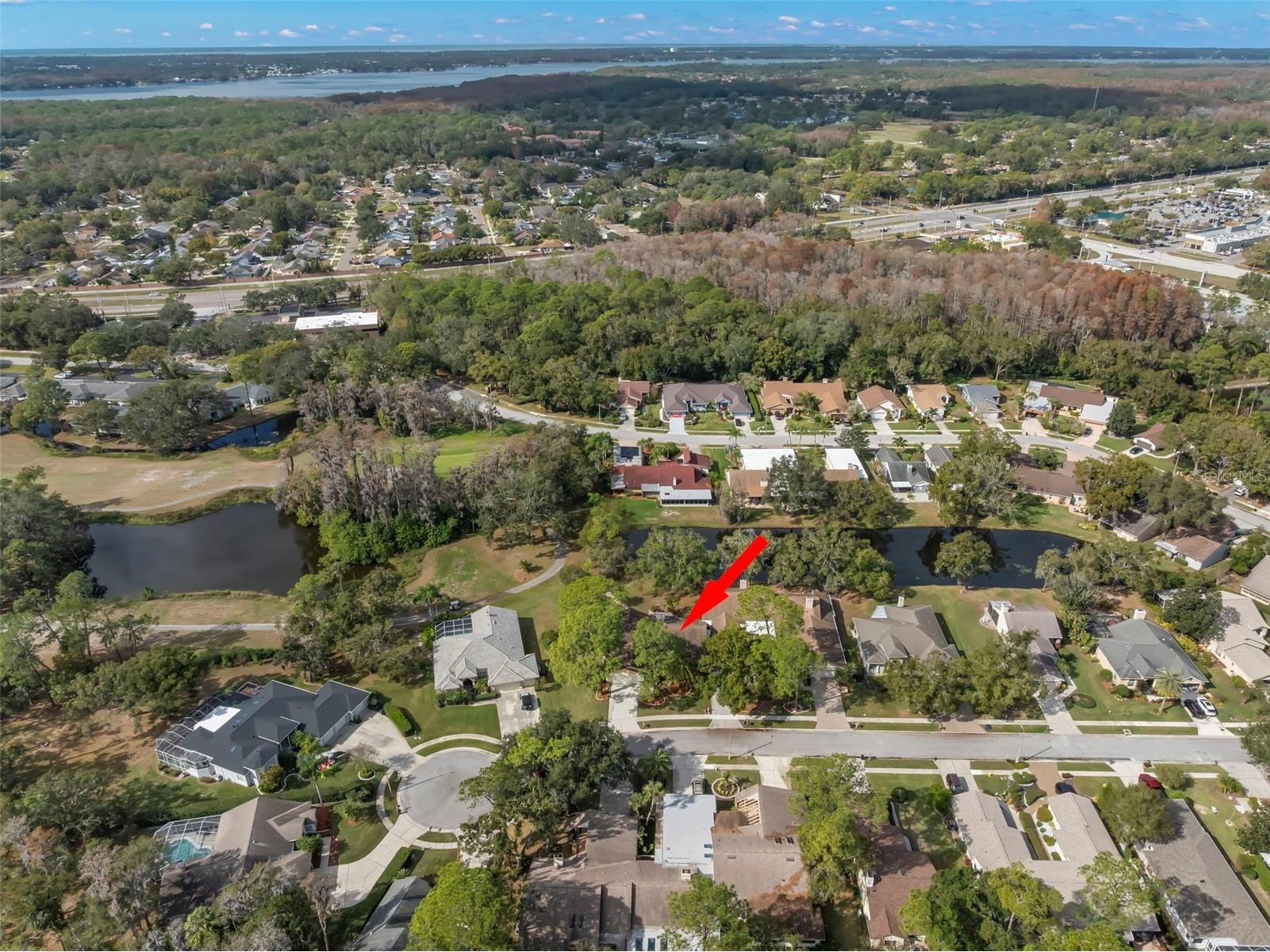 3006 Bolt Drive Palm Harbor FL 34685 TB8456648 image45