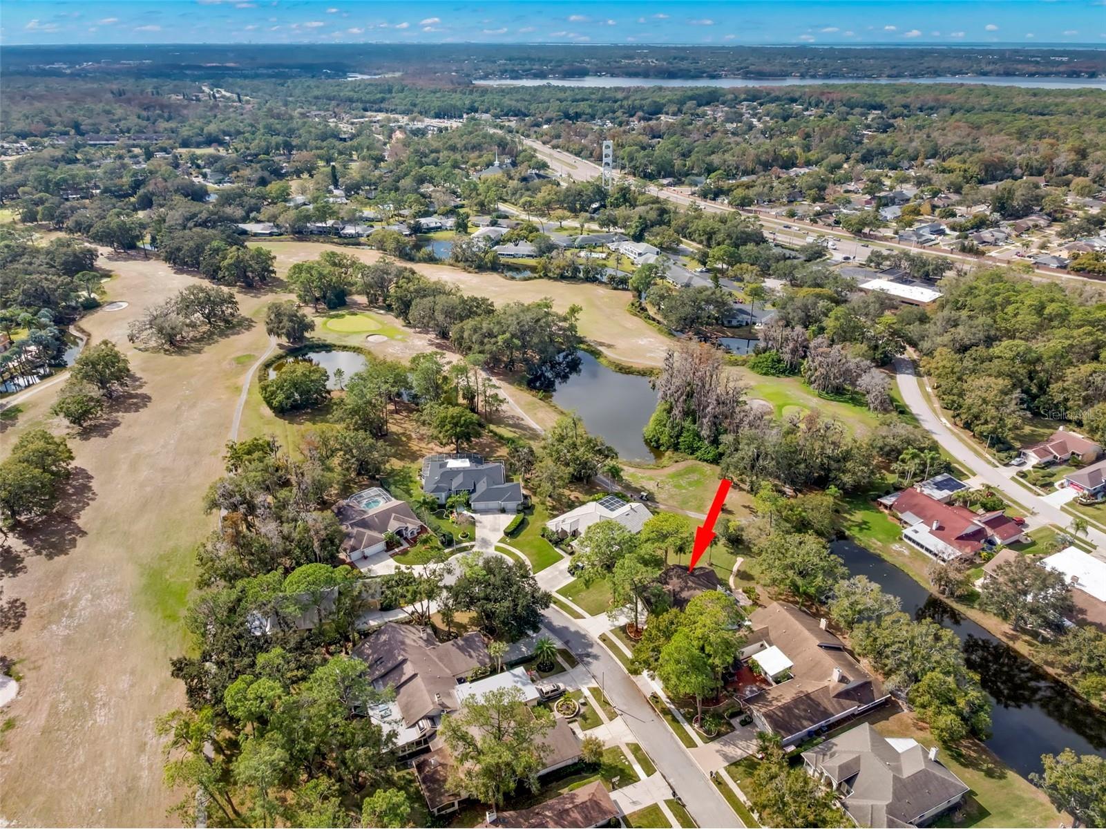 3006 Bolt Drive Palm Harbor FL 34685 TB8456648 image46