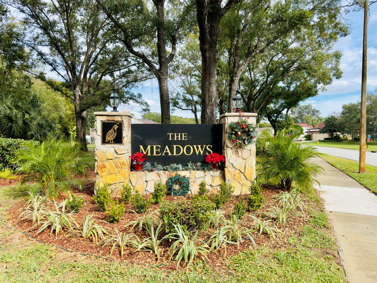 3006 Bolt Drive Palm Harbor FL 34685 TB8456648 image47