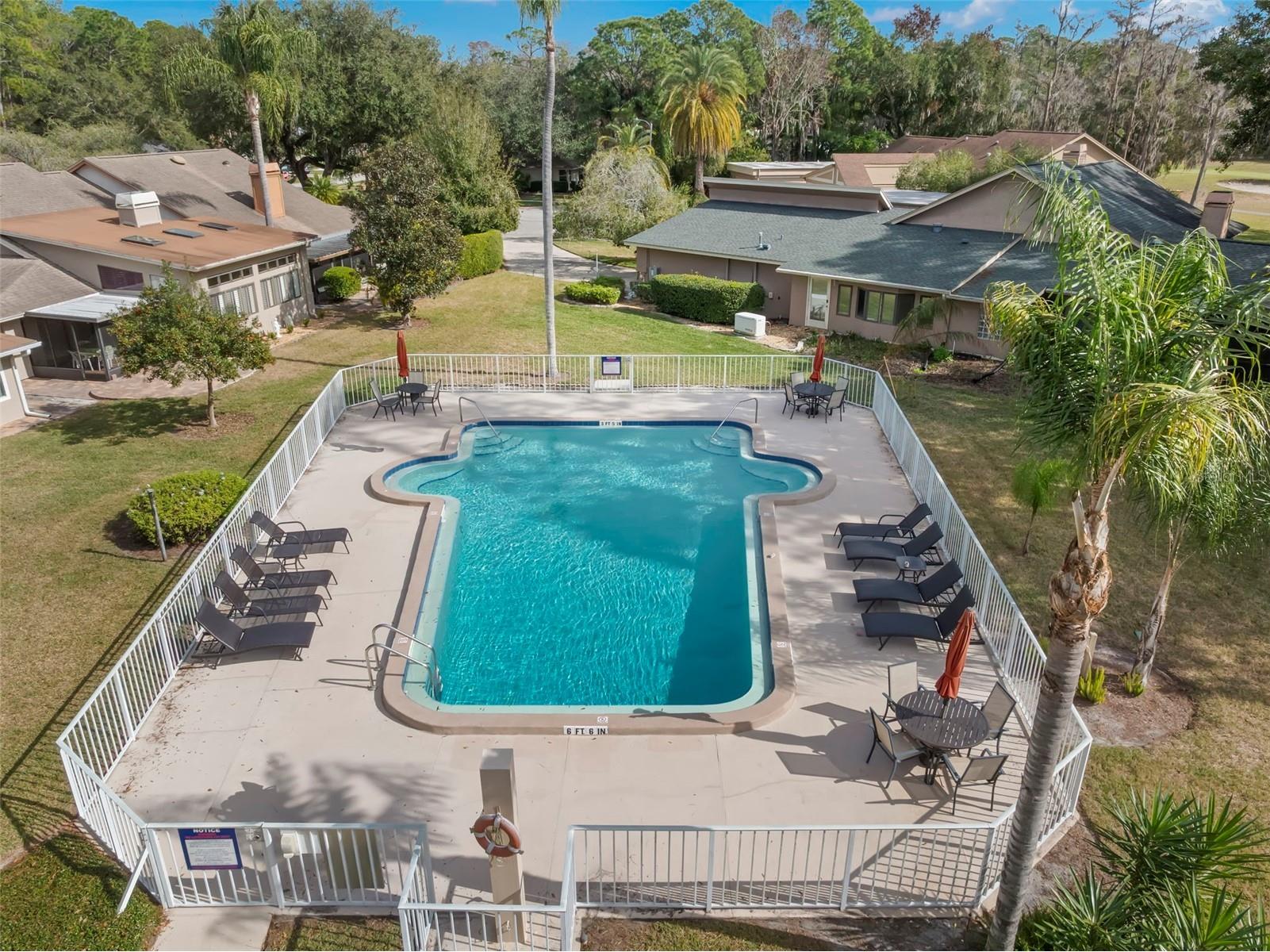 3006 Bolt Drive Palm Harbor FL 34685 TB8456648 image48