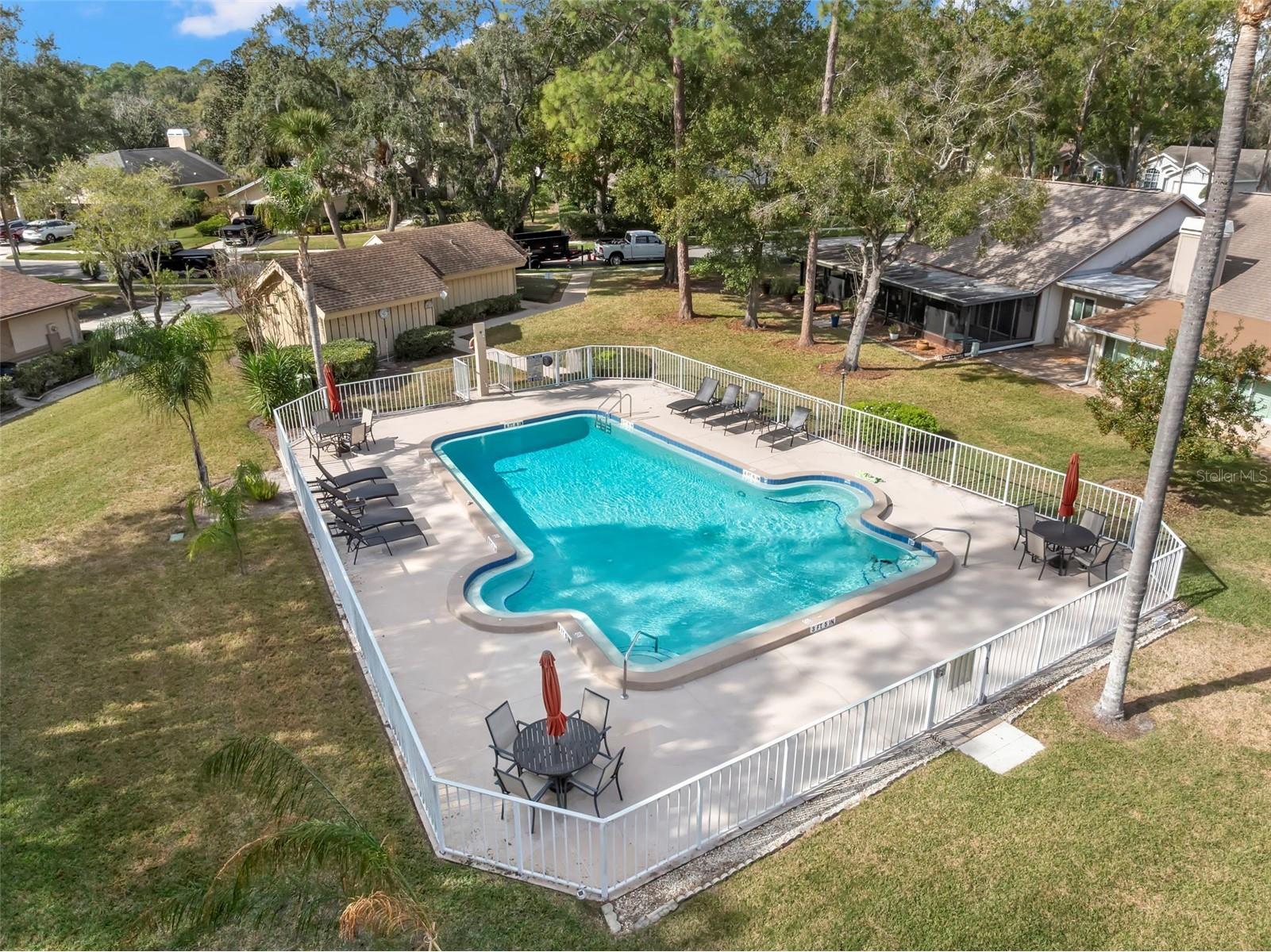 3006 Bolt Drive Palm Harbor FL 34685 TB8456648 image49