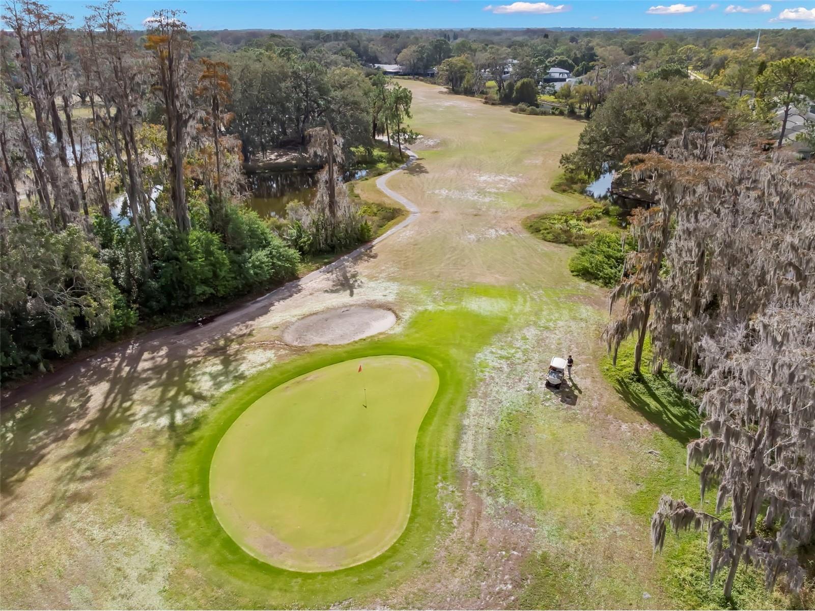 3006 Bolt Drive Palm Harbor FL 34685 TB8456648 image50