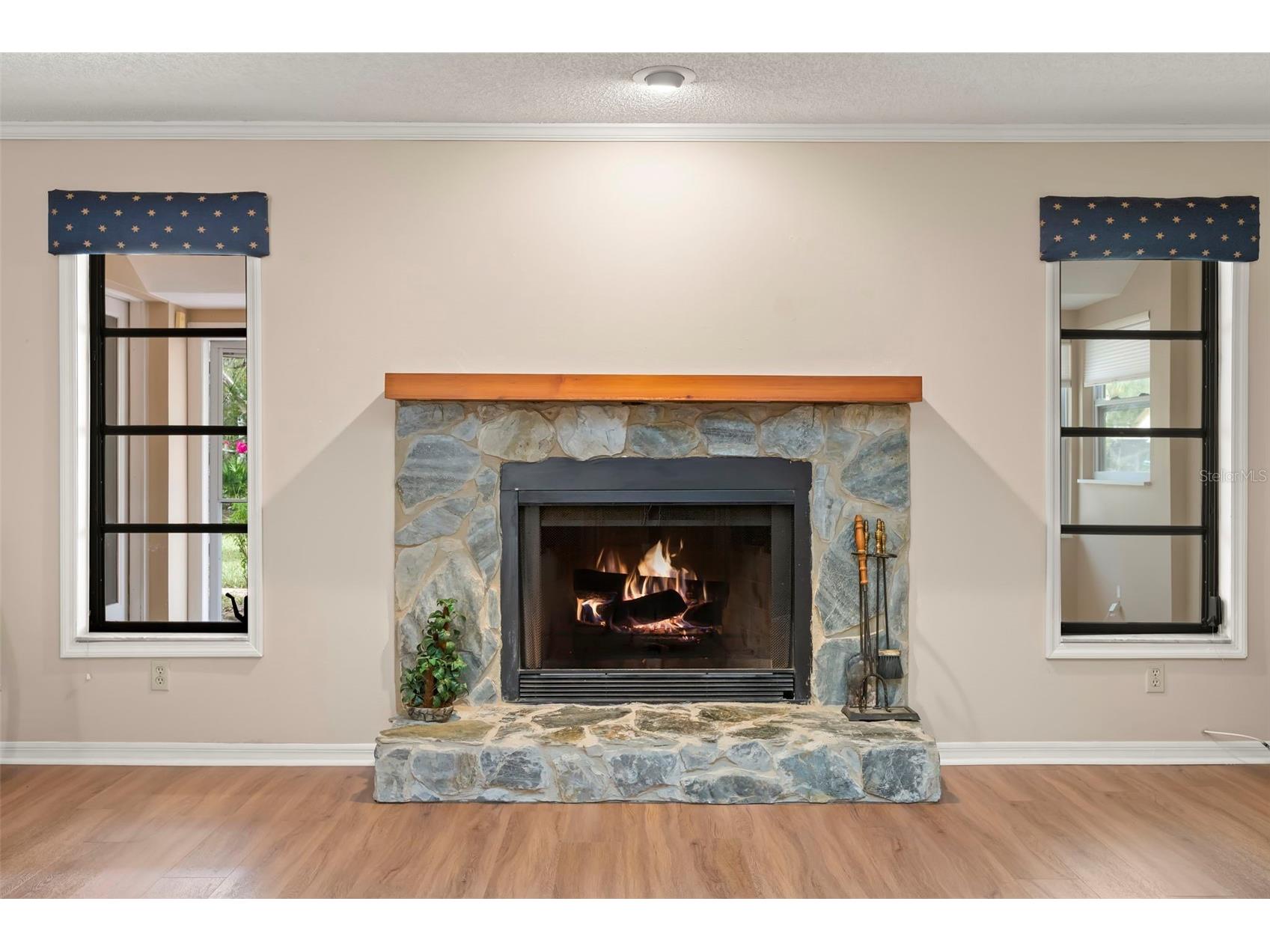 3006 Bolt Drive Palm Harbor FL 34685 TB8456648 image7