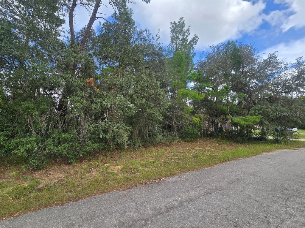 3006 Clearwood Street Inverness FL 34452 OM711241 image1