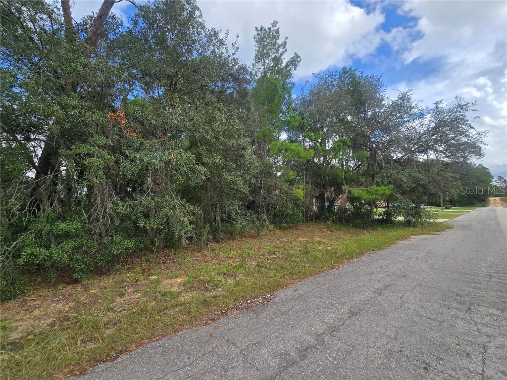 3006 Clearwood Street Inverness FL 34452 OM711241 image2