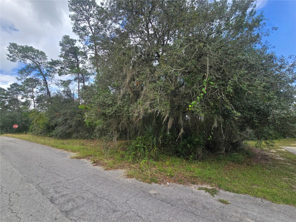 3006 Clearwood Street Inverness FL 34452 OM711241 image3
