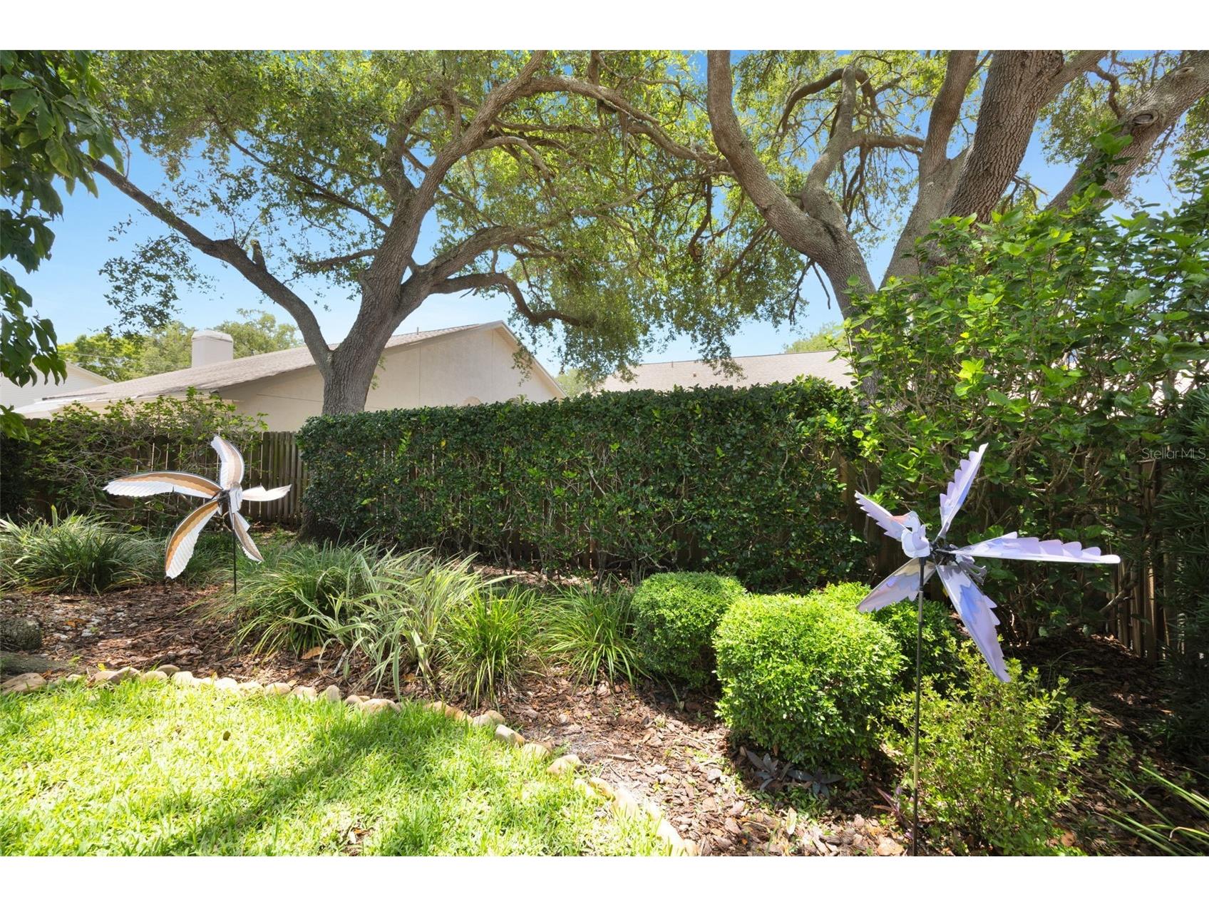 3006 Covewood Place Clearwater FL 33761 TB8496793 image44
