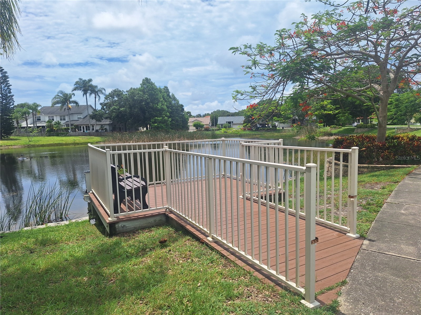 3006 Covewood Place Clearwater FL 33761 TB8496793 image64