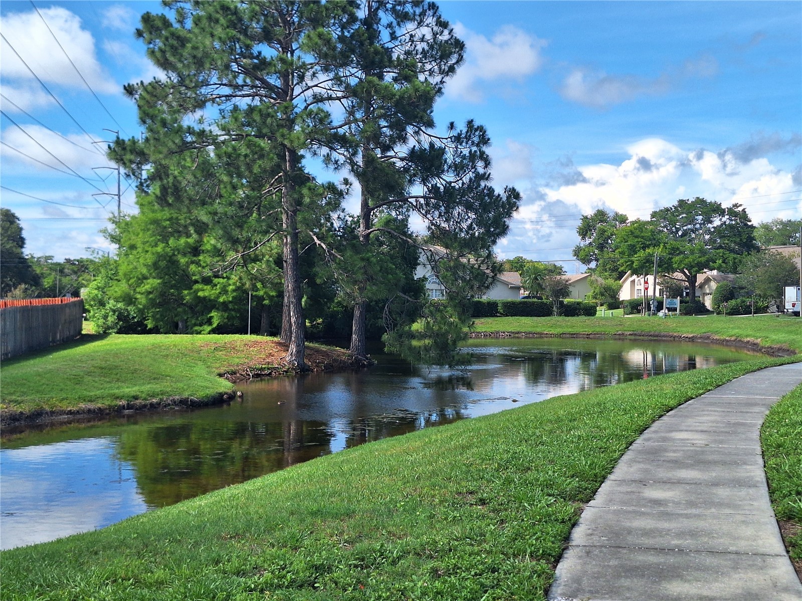 3006 Covewood Place Clearwater FL 33761 TB8496793 image65
