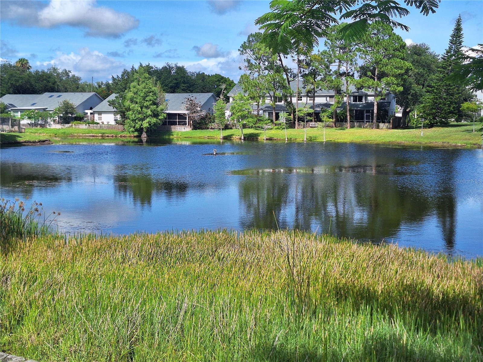 3006 Covewood Place Clearwater FL 33761 TB8496793 image66