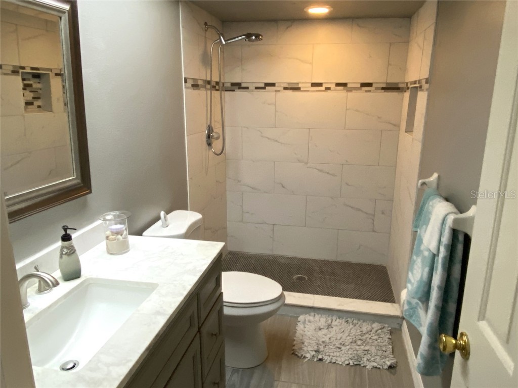 3006 Drakes Landing Court Valrico FL 33596 TB8407575 image14