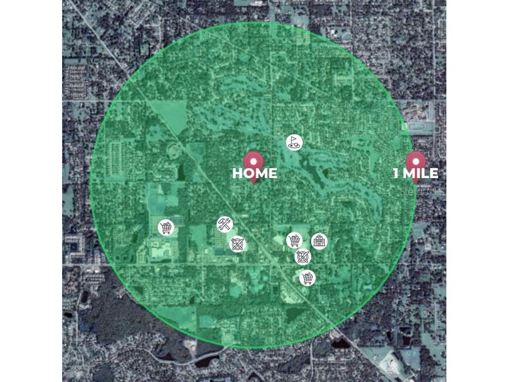 3006 Drakes Landing Court Valrico FL 33596 TB8407575 image17