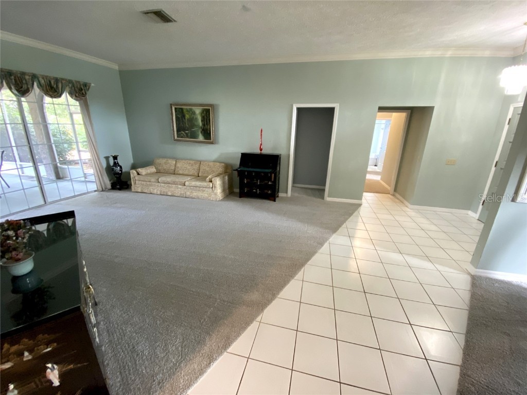 3006 Drakes Landing Court Valrico FL 33596 TB8407575 image4