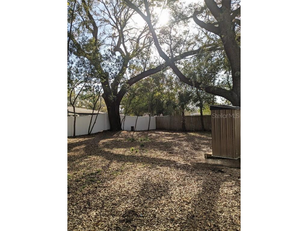 3006 E Anderson Street Orlando FL 32803 TB8431634 image28