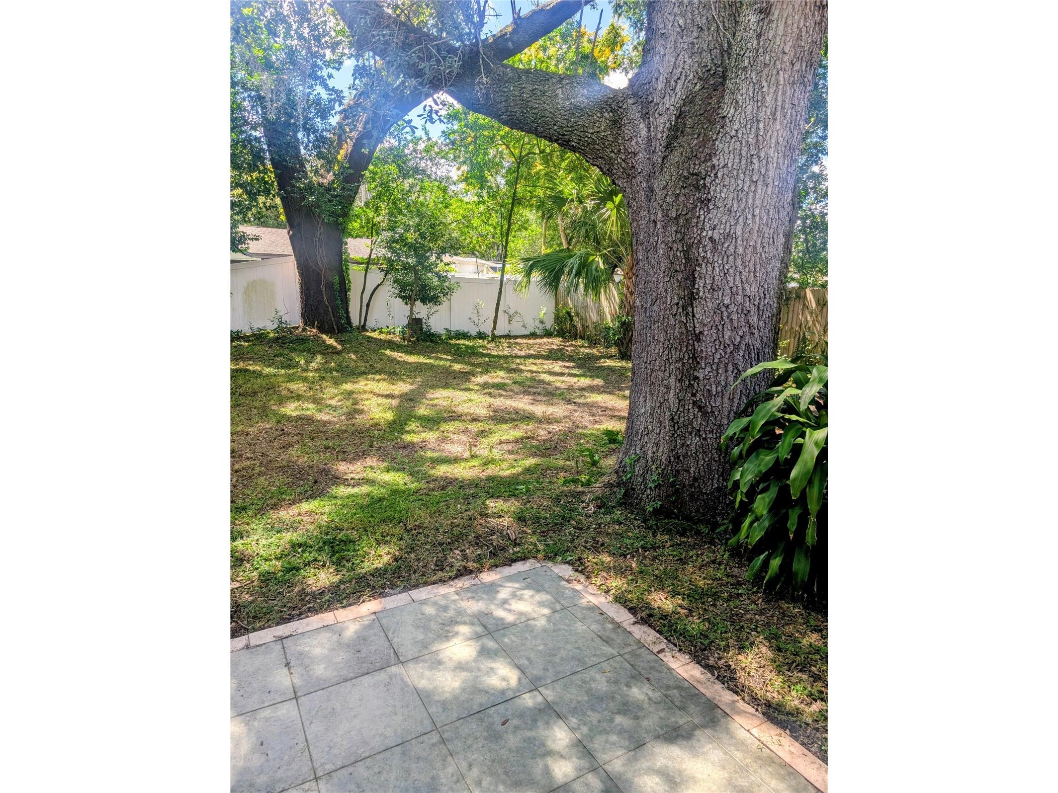3006 E Anderson Street Orlando FL 32803 TB8486930 image22