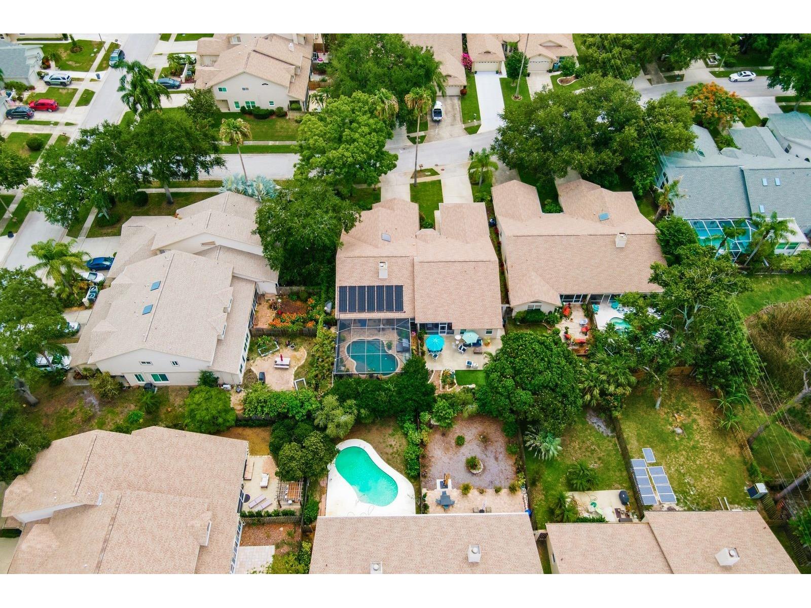 3006 Fieldbrook Place Clearwater FL 33761 TB8516887 image48
