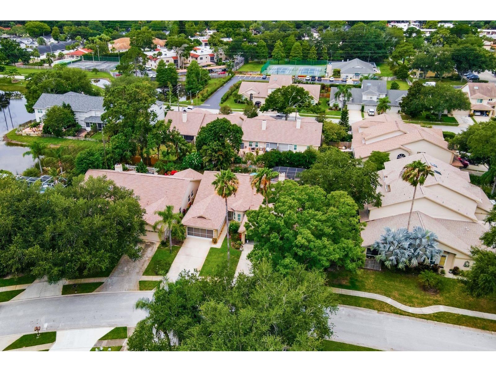 3006 Fieldbrook Place Clearwater FL 33761 TB8516887 image54