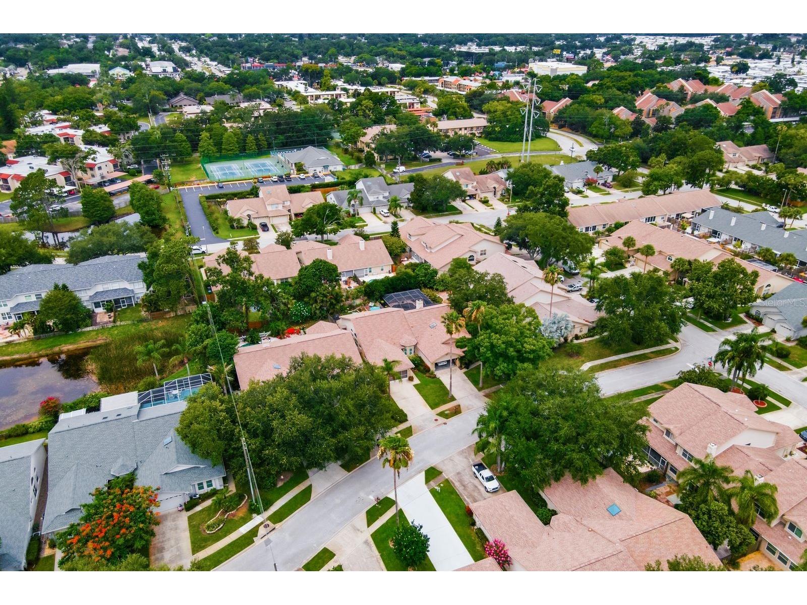 3006 Fieldbrook Place Clearwater FL 33761 TB8516887 image56