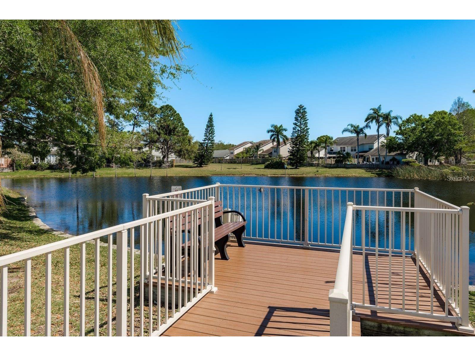 3006 Fieldbrook Place Clearwater FL 33761 TB8516887 image65
