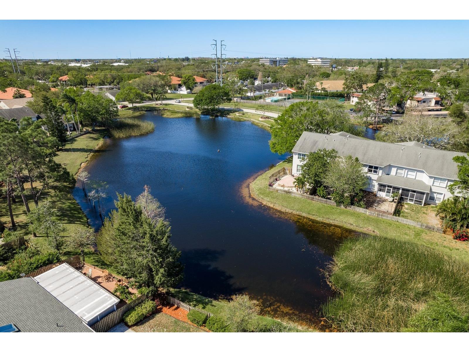3006 Fieldbrook Place Clearwater FL 33761 TB8516887 image66