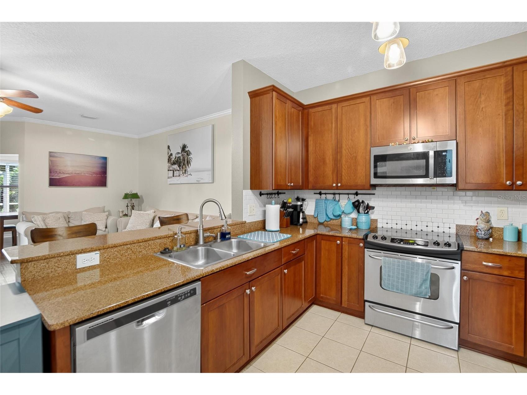 3006 Girvan Drive Land O Lakes FL 34638 TB8526920 image12