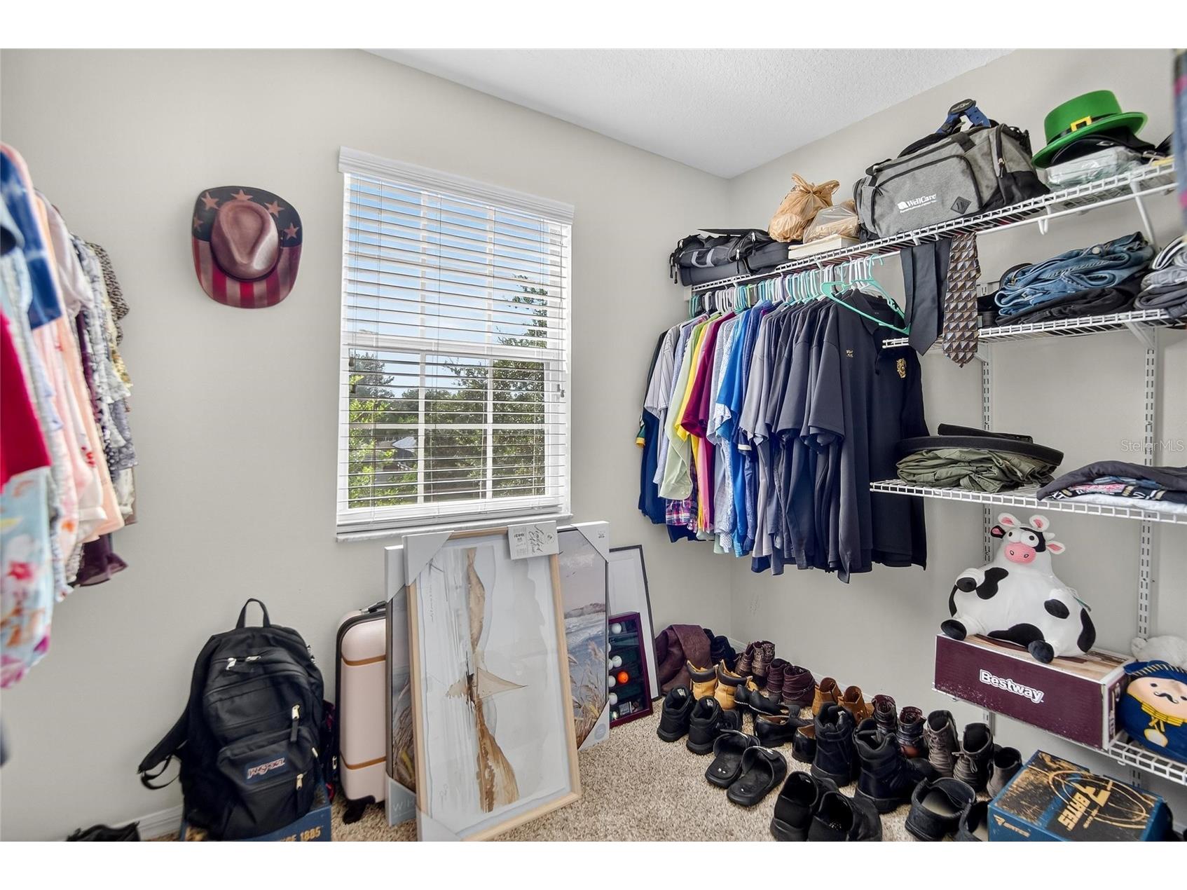 3006 Girvan Drive Land O Lakes FL 34638 TB8526920 image28