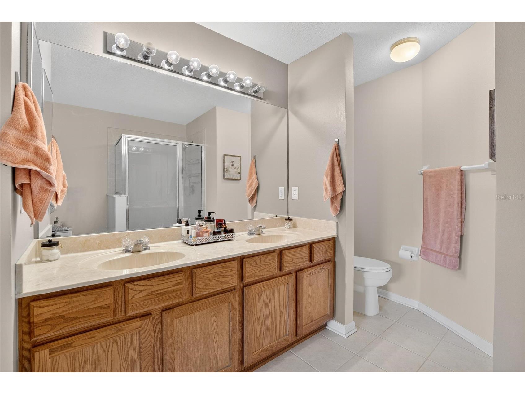 3006 Girvan Drive Land O Lakes FL 34638 TB8526920 image30