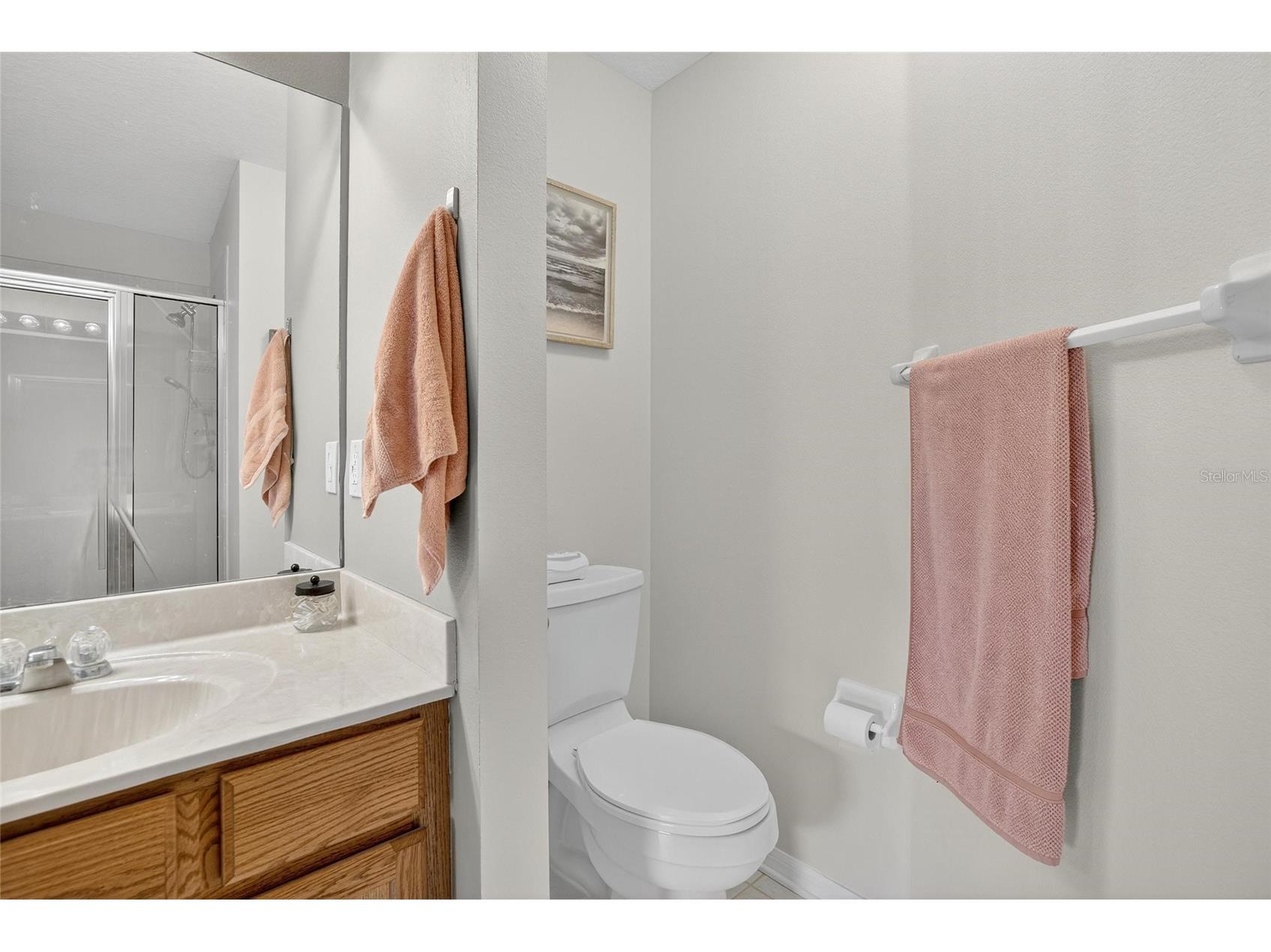 3006 Girvan Drive Land O Lakes FL 34638 TB8526920 image31