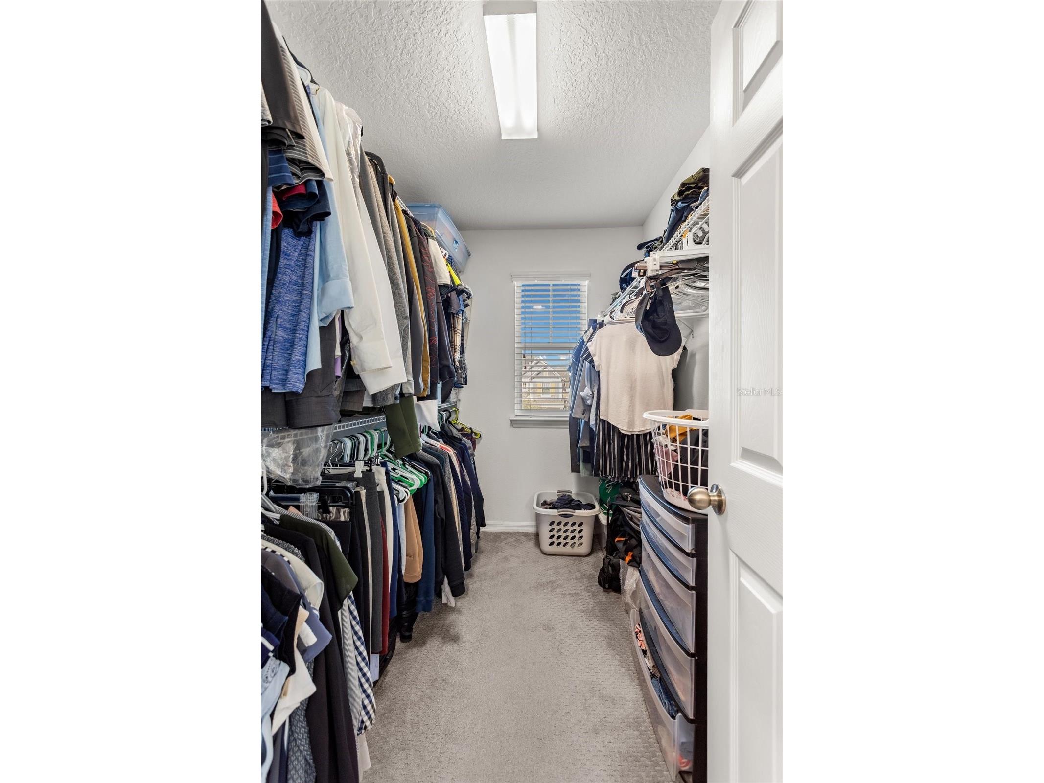3006 Stonegate Drive Ocoee FL 34761 O6386366 image22