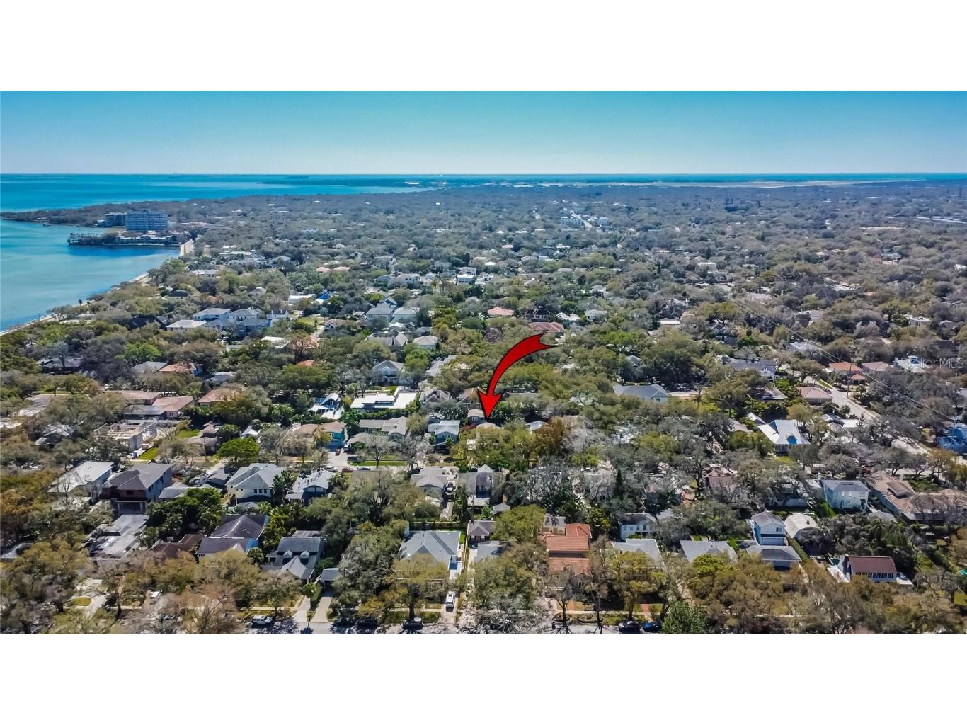 3006 W Harbor View Avenue Tampa FL 33611 TB8437727 image61