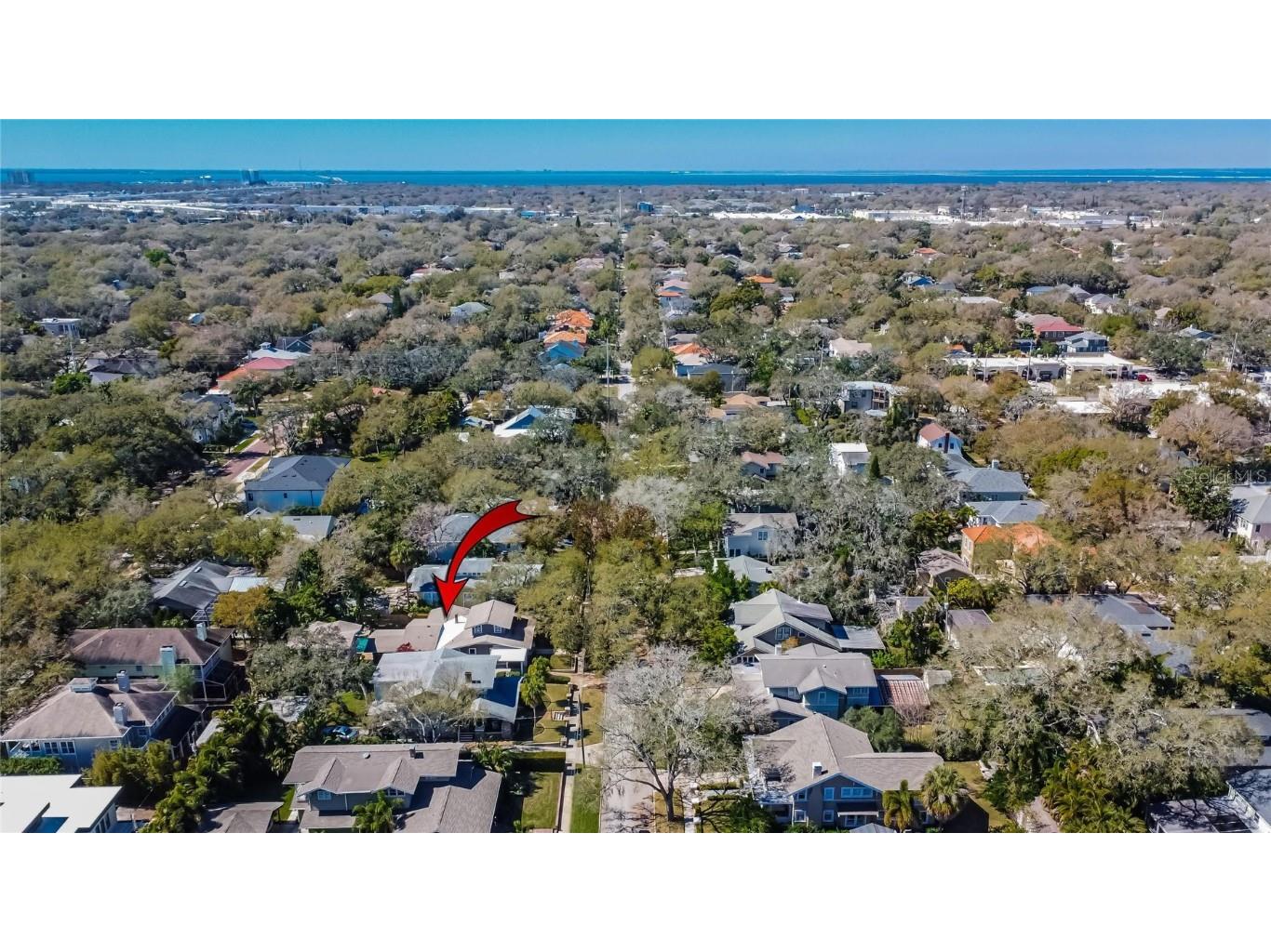 3006 W Harbor View Avenue Tampa FL 33611 TB8437727 image62