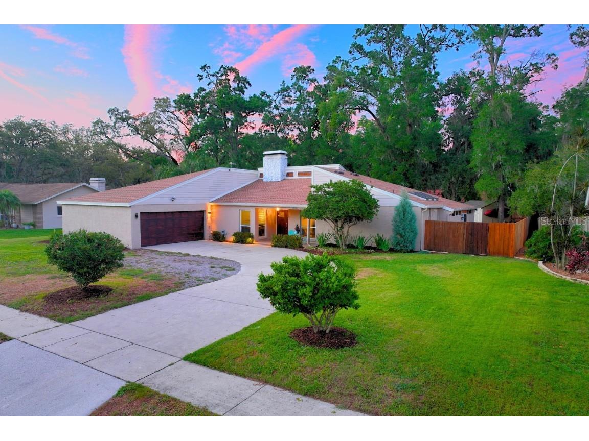3006 Wister Circle Valrico FL 33596 A4652330 image1