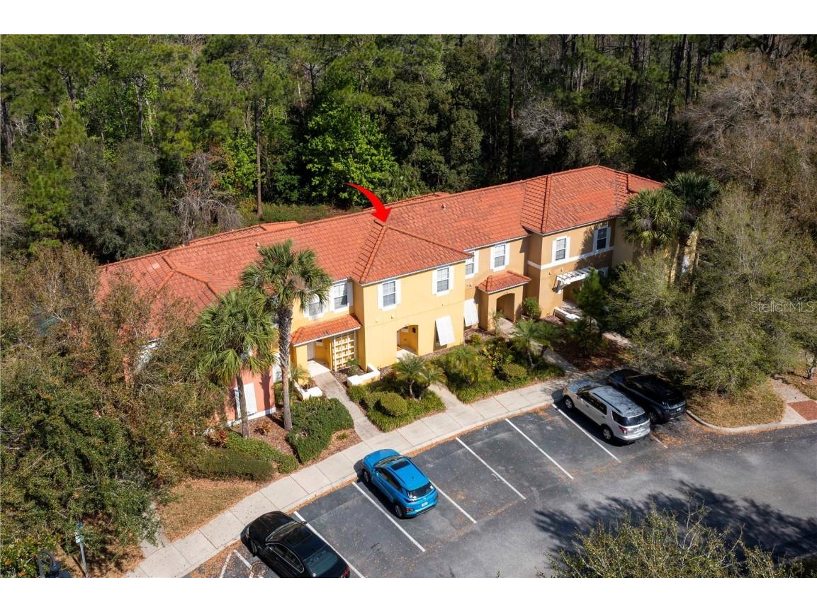 3006 Yellow Lantana Lane Kissimmee FL 34747 O6361482 image4