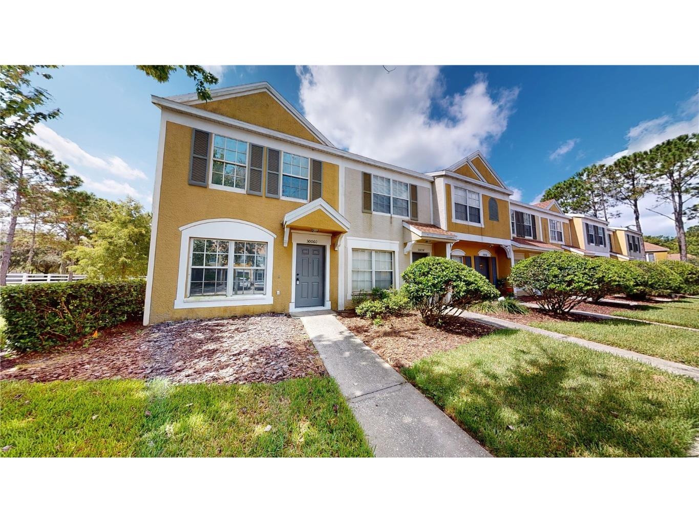 30060 Granda Hills Court Wesley Chapel FL 33543 T3465734 image1